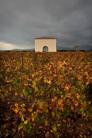 Long after the Harvest: Autumnal November at La PèiraPhoto Credit: Georges Souche